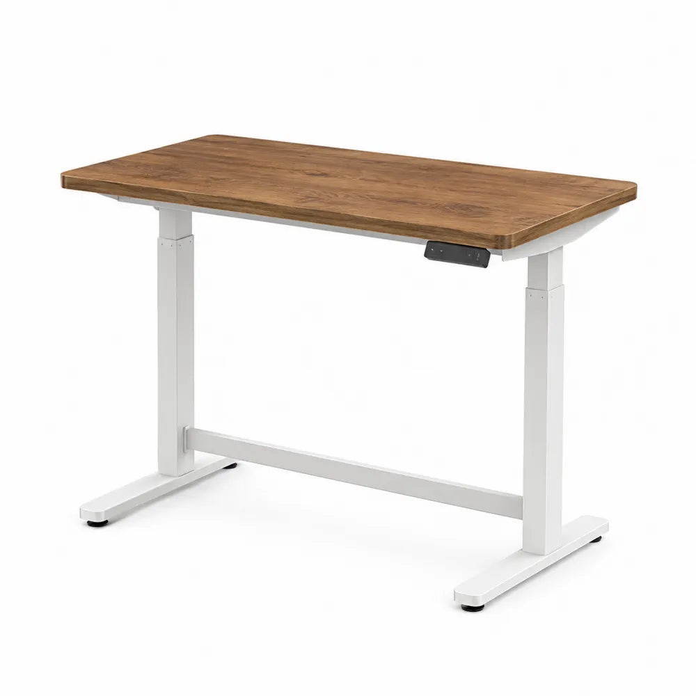 Adjustable Desk with Solid Wood Top and Steel Frame in Brown and White