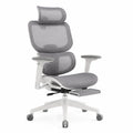Ergonomic Office Chair with Adjustable Mesh Backrest and Headrest Gray